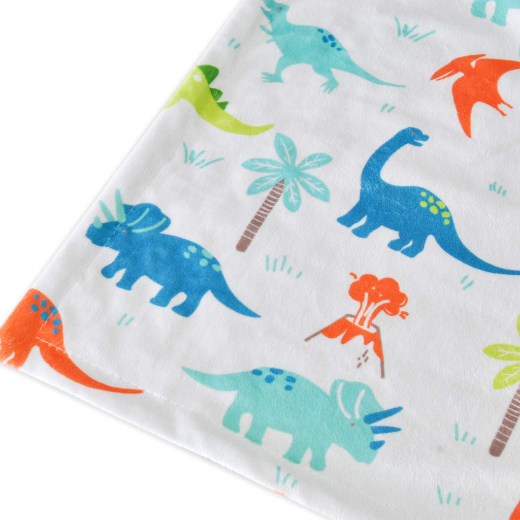 Super Soft Double-Layer Minky Baby Blanket with Dotted Backing